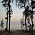 Bordi beach, Sea Crest Beach Resort,Dahanu Dahanu Beach Hotel,Dahanu Beach Resort